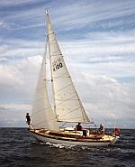 Seabird