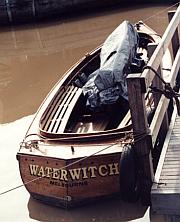 Waterwitch
